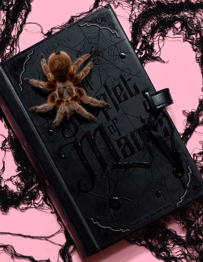 Kapka magické halloweenské palety očních stínů