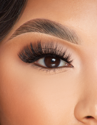 P.Louise Lashes - Live, Love, Lashed